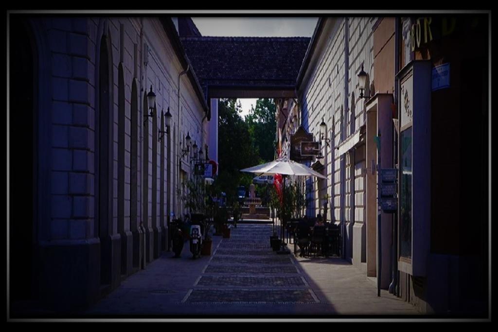 Happy Colours In Old Town Apartment Kecskemet Exterior photo